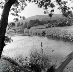 Fishing, River Ure, Aysgarth